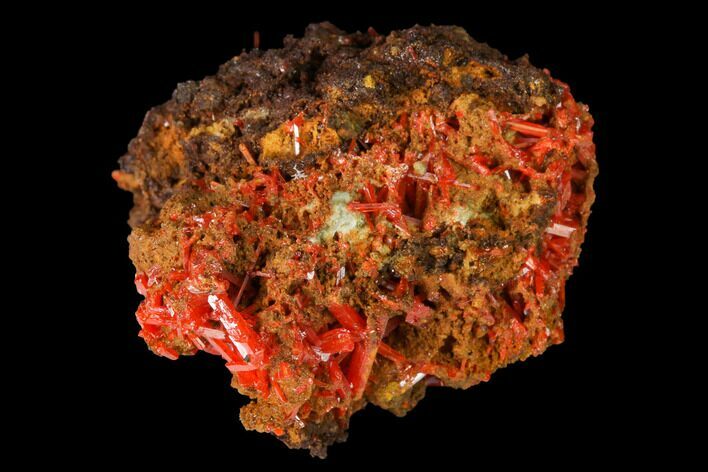 Bright Orange Crocoite Crystal Cluster - Tasmania #171705